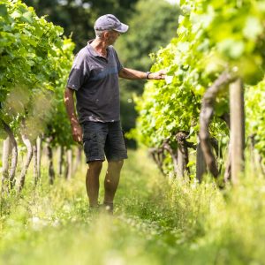 230712_Alex_Treadway_Astley_Vineyard_DSC_7957